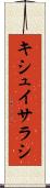 キシュイサラシ Scroll