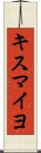 キスマイヨ Scroll