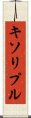 キソリプル Scroll