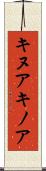 キヌア Scroll