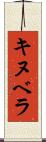 キヌベラ Scroll