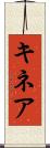 キネア Scroll