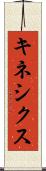 キネシクス Scroll
