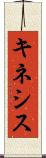 キネシス Scroll