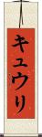 キュウリ Scroll