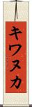 キワヌカ Scroll