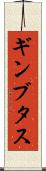 ギンブタス Scroll