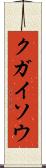 クガイソウ Scroll