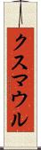クスマウル Scroll