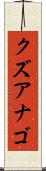 クズアナゴ Scroll