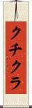 クチクラ Scroll