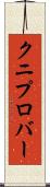 クニプロバー Scroll