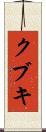 クブキ Scroll