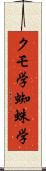クモ学 Scroll