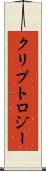 クリプトロジー Scroll