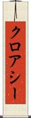 クロアシー Scroll