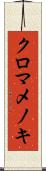 クロマメノキ Scroll
