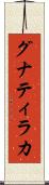 グナティラカ Scroll
