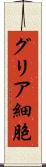 グリア細胞 Scroll