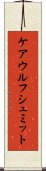 ケアウルフシュミット Scroll