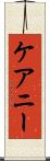 ケアニー Scroll