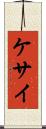 ケサイ Scroll