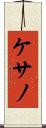 ケサノ Scroll