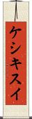 ケシキスイ Scroll