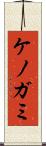 ケノガミ Scroll