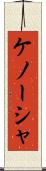 ケノーシャ Scroll