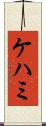 ケハミ Scroll