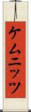 ケムニッツ Scroll
