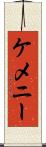 ケメニー Scroll