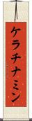 ケラチナミン Scroll