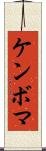 ケンボマ Scroll