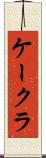 ケークラ Scroll