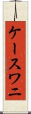 ケースワニ Scroll
