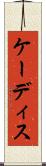 ケーディス Scroll