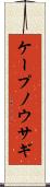 ケープノウサギ Scroll