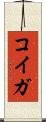 コイガ Scroll
