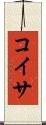 コイサ Scroll