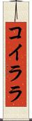 コイララ Scroll