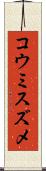 コウミスズメ Scroll