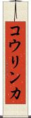 コウリンカ Scroll