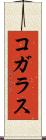コガラス Scroll