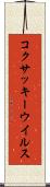 コクサッキーウイルス Scroll