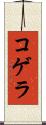 コゲラ Scroll