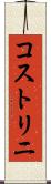 コストリニ Scroll