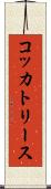 コッカトリース Scroll