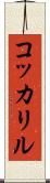 コッカリル Scroll
